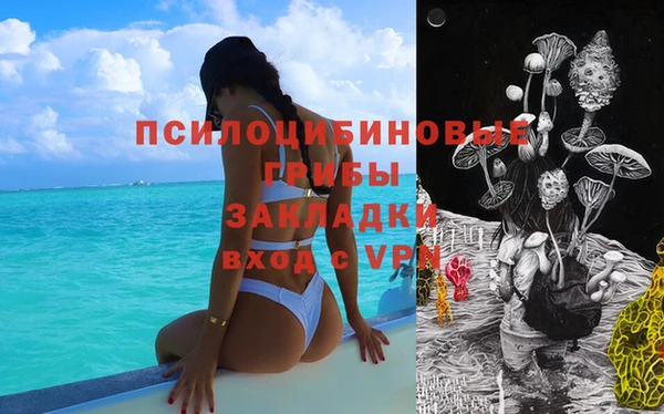 спайс Алзамай
