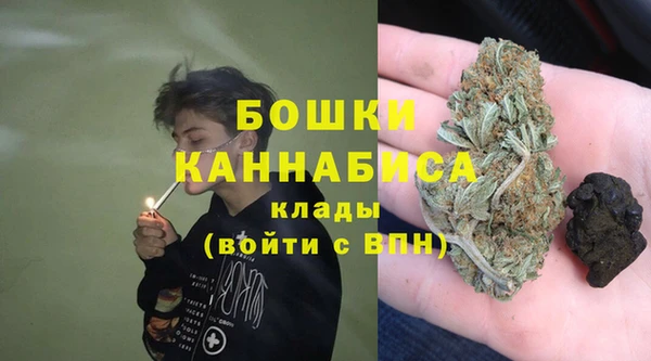 ГАЛЛЮЦИНОГЕННЫЕ ГРИБЫ Алексин