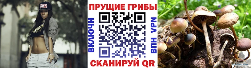 Галлюциногенные грибы Magic Shrooms  mega рабочий сайт  Минусинск 